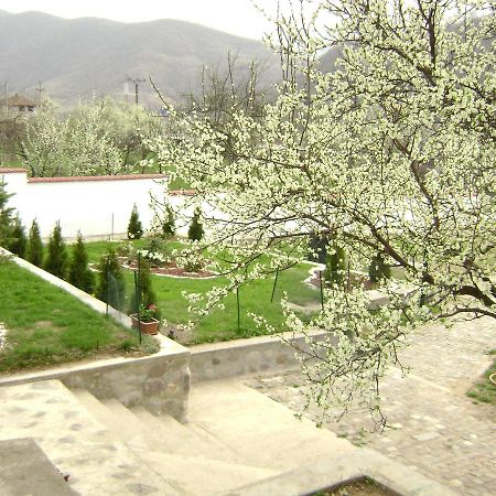 Pension Casa Natura Băile Herculane エクステリア 写真