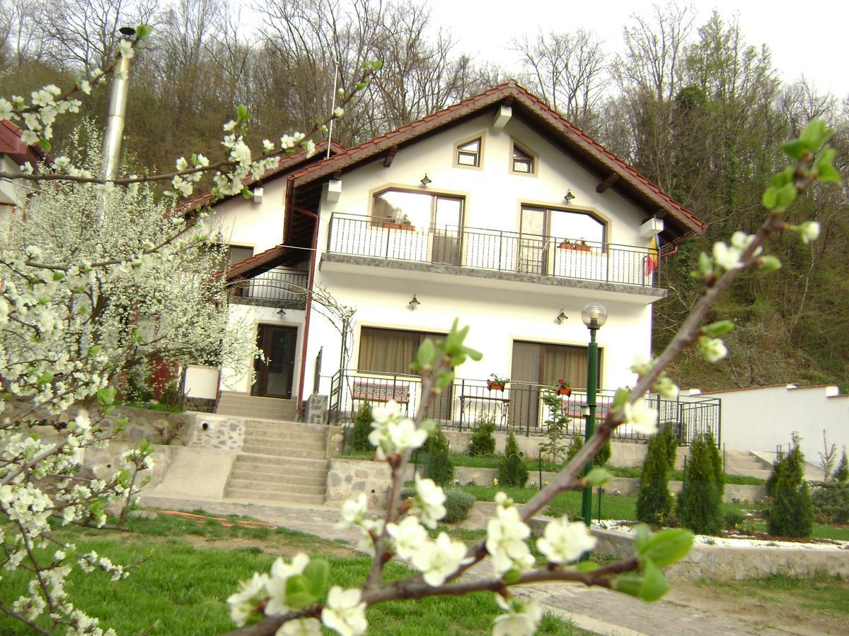 Pension Casa Natura Băile Herculane エクステリア 写真