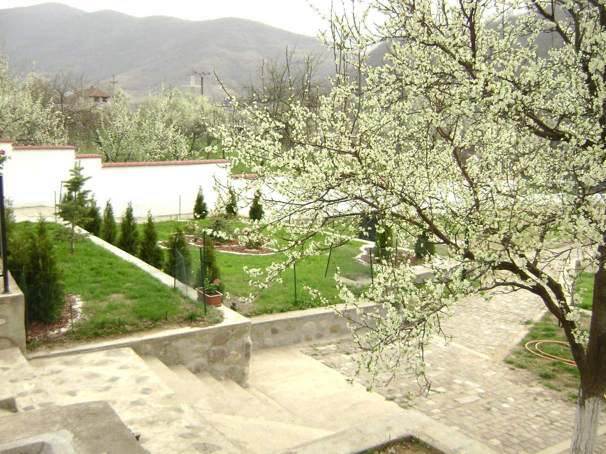 Pension Casa Natura Băile Herculane エクステリア 写真