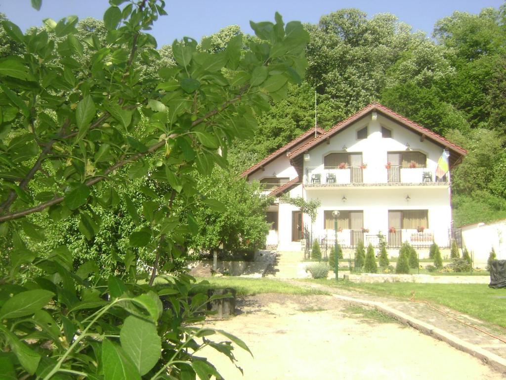 Pension Casa Natura Băile Herculane エクステリア 写真