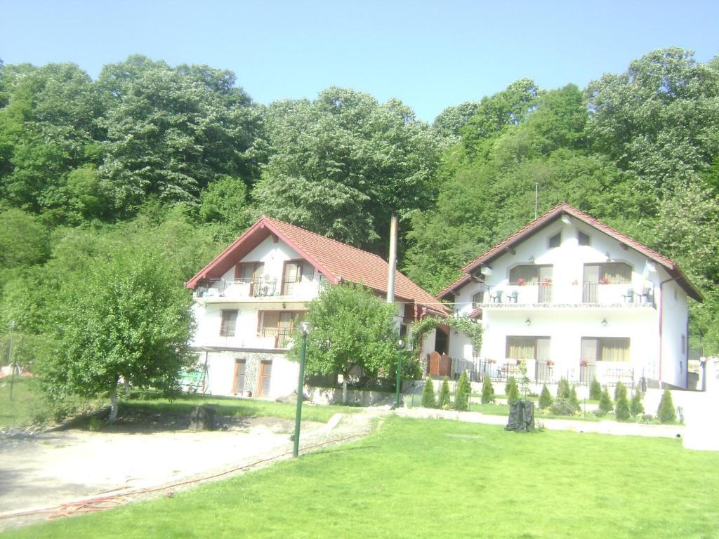 Pension Casa Natura Băile Herculane エクステリア 写真