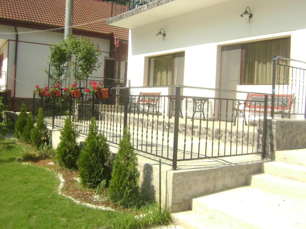 Pension Casa Natura Băile Herculane エクステリア 写真