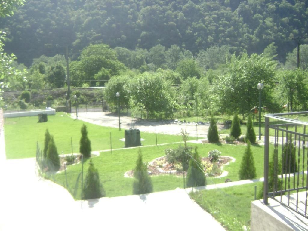 Pension Casa Natura Băile Herculane エクステリア 写真