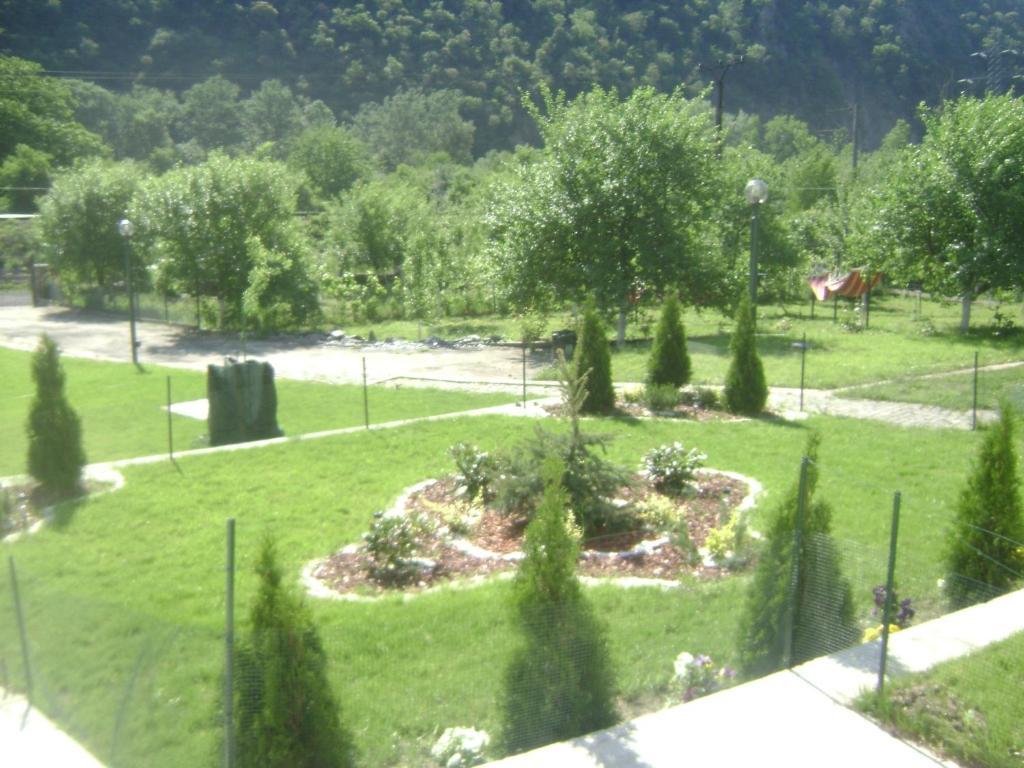 Pension Casa Natura Băile Herculane エクステリア 写真
