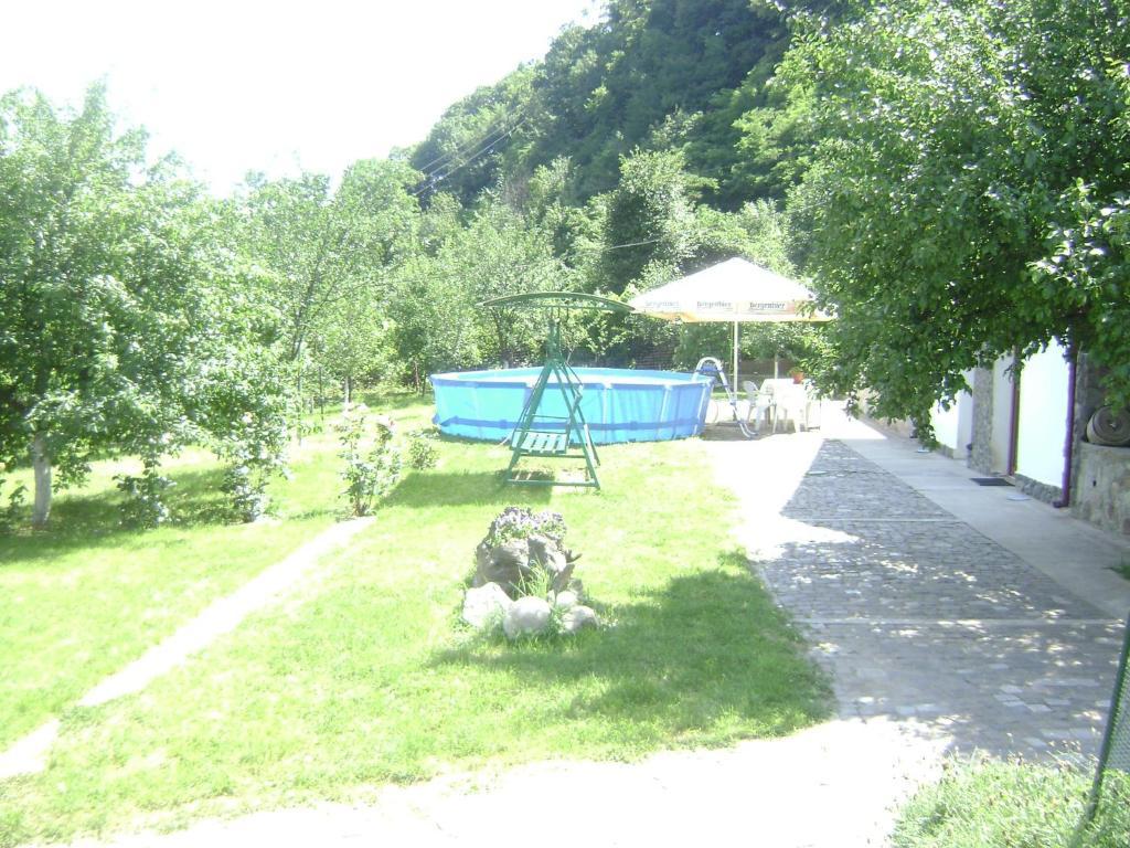Pension Casa Natura Băile Herculane エクステリア 写真