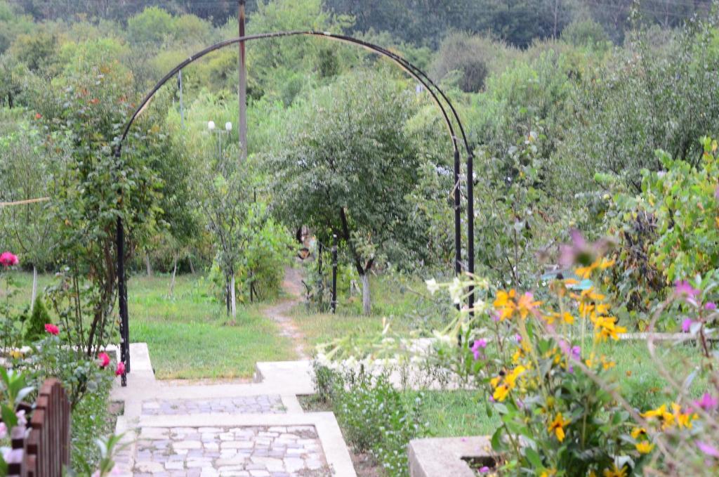 Pension Casa Natura Băile Herculane エクステリア 写真