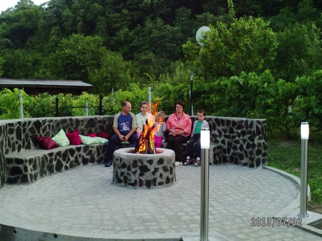 Pension Casa Natura Băile Herculane エクステリア 写真