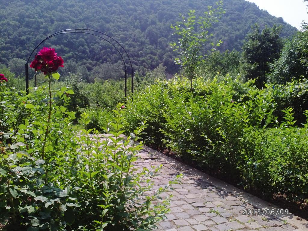 Pension Casa Natura Băile Herculane エクステリア 写真