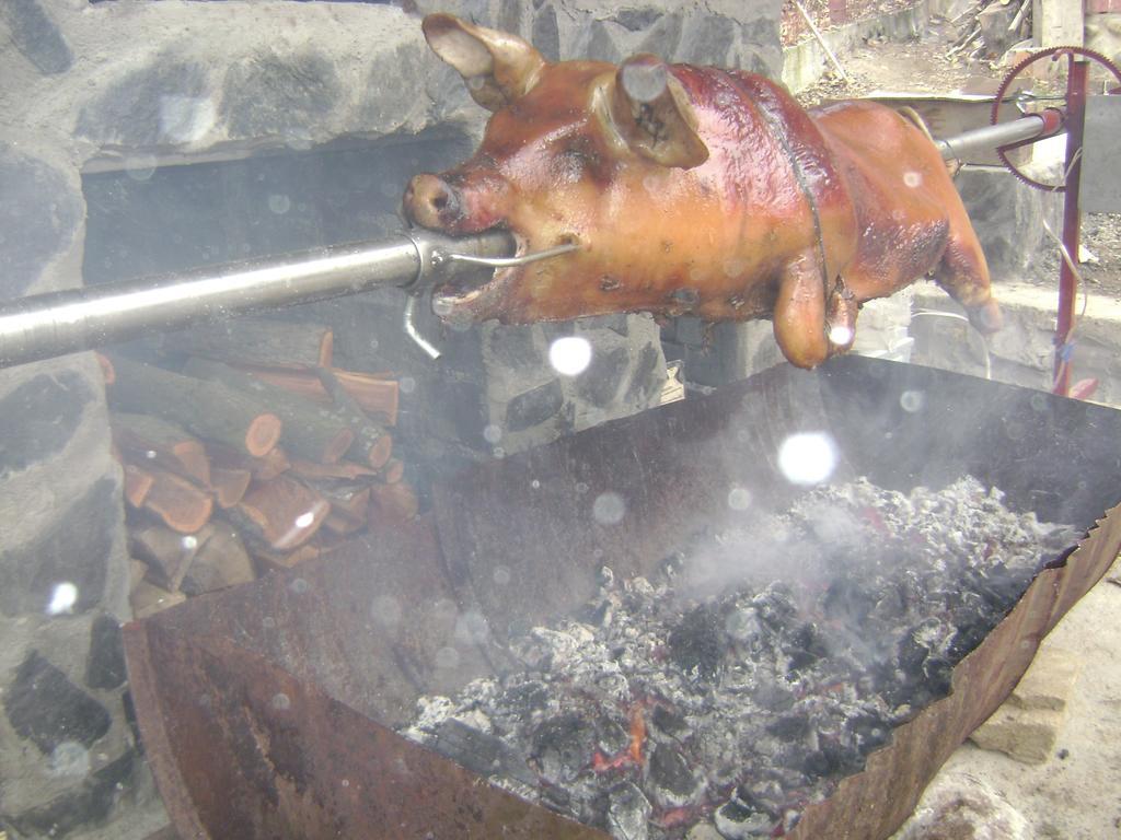 Pension Casa Natura Băile Herculane エクステリア 写真