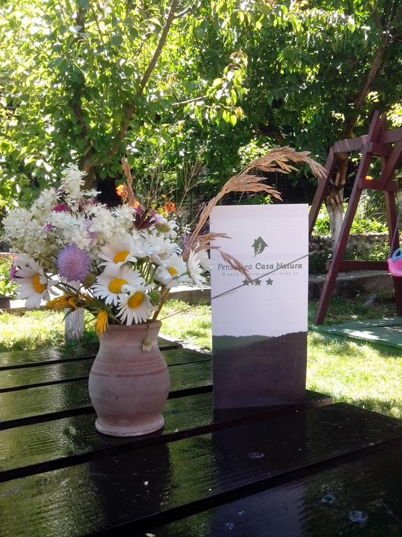 Pension Casa Natura Băile Herculane エクステリア 写真