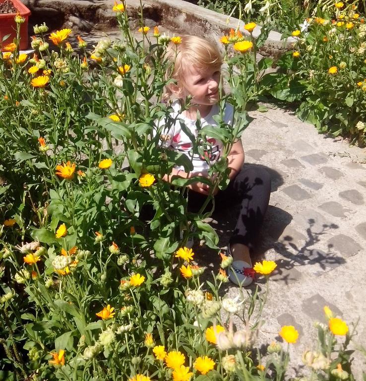 Pension Casa Natura Băile Herculane エクステリア 写真
