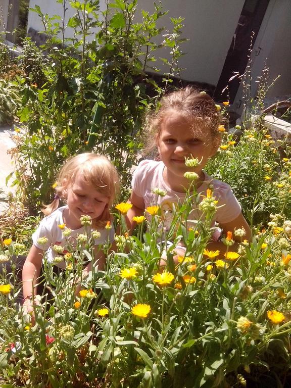 Pension Casa Natura Băile Herculane エクステリア 写真