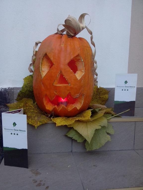 Pension Casa Natura Băile Herculane エクステリア 写真