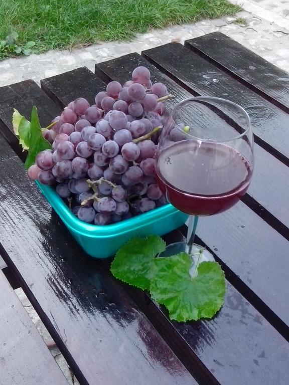 Pension Casa Natura Băile Herculane エクステリア 写真