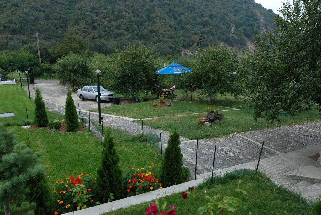 Pension Casa Natura Băile Herculane エクステリア 写真