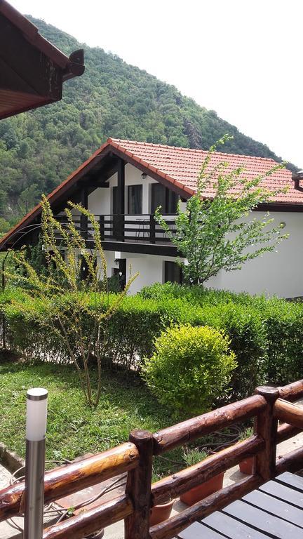 Pension Casa Natura Băile Herculane エクステリア 写真