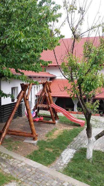 Pension Casa Natura Băile Herculane エクステリア 写真