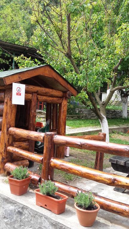 Pension Casa Natura Băile Herculane エクステリア 写真