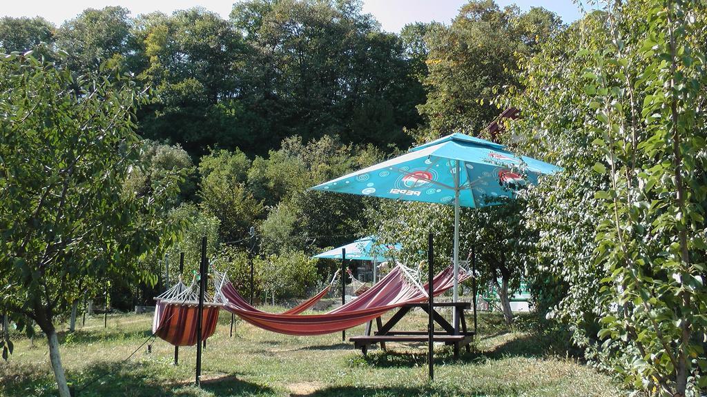 Pension Casa Natura Băile Herculane エクステリア 写真