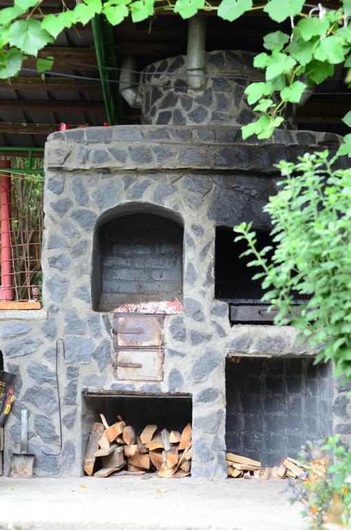 Pension Casa Natura Băile Herculane エクステリア 写真