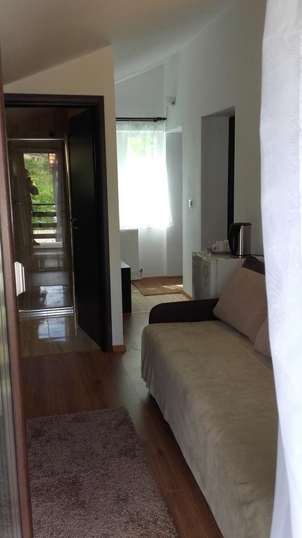Pension Casa Natura Băile Herculane エクステリア 写真