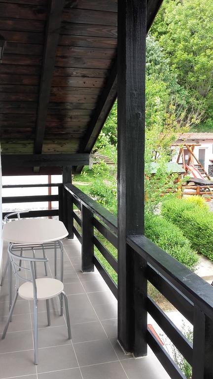 Pension Casa Natura Băile Herculane エクステリア 写真