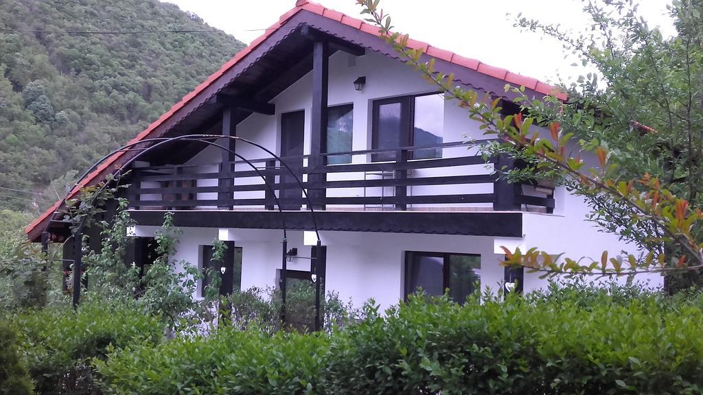 Pension Casa Natura Băile Herculane エクステリア 写真